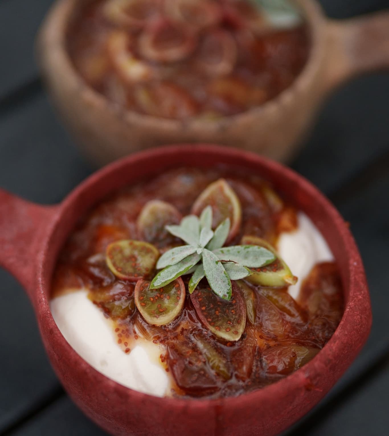 Kupilka Recipe Cactus Berries